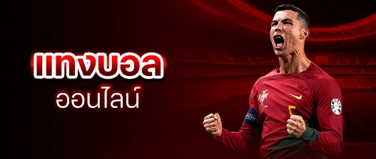 ruay289